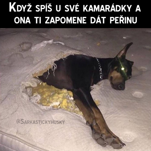  Označ svoji kamarádku 