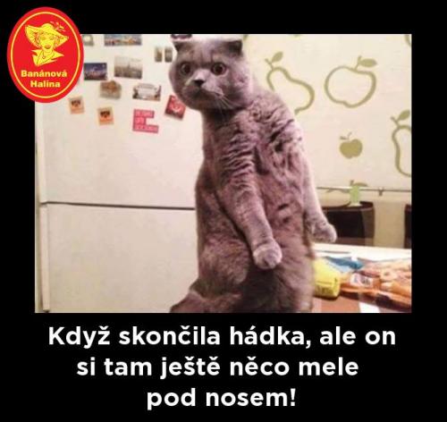  Hádka 