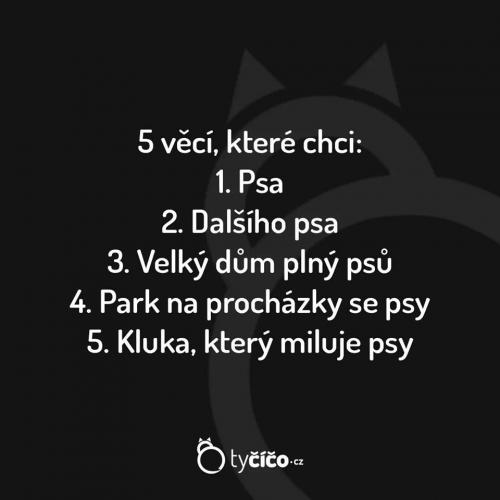  5 Věcí 