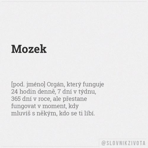  Mozek 