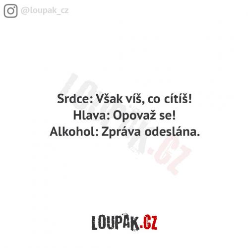  Zpráva odeslána 