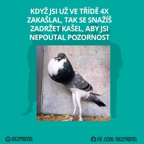 Kašlání