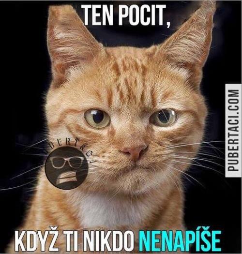 Nenápíše