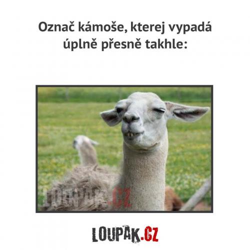 Označ ho