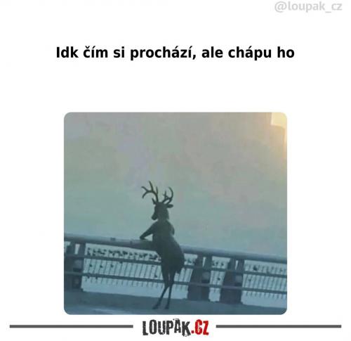  Tohle všichni určitě pochopí 