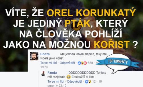 Víte že