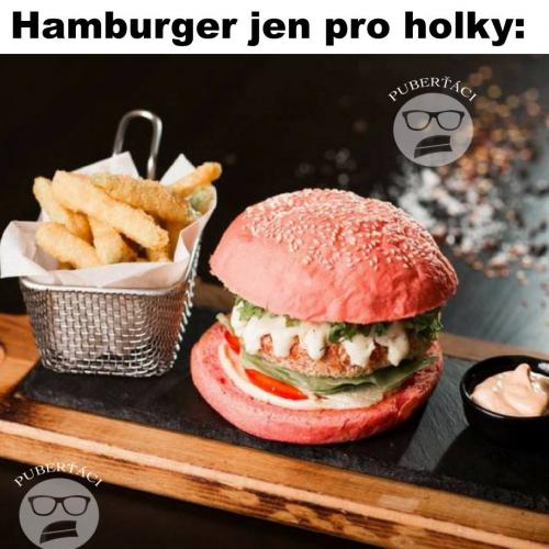  Hamburger 