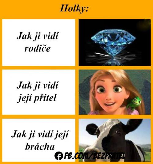  Vidí 