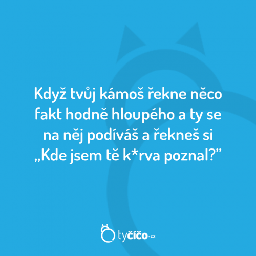  Tvůj kámoš 