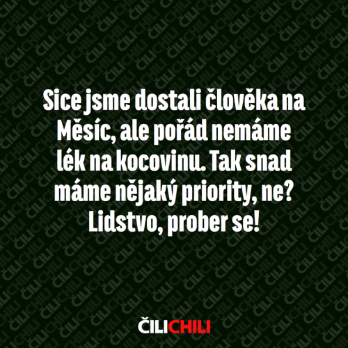  Člověk 