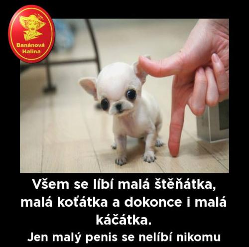 Ště'nátka