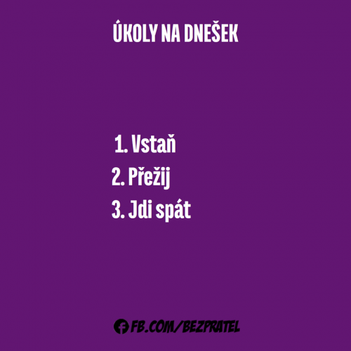  Úkol 