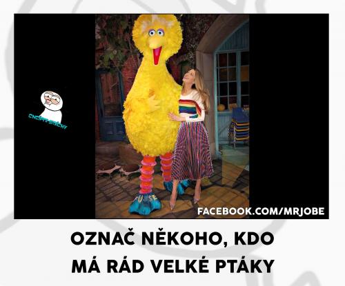 Ptáky