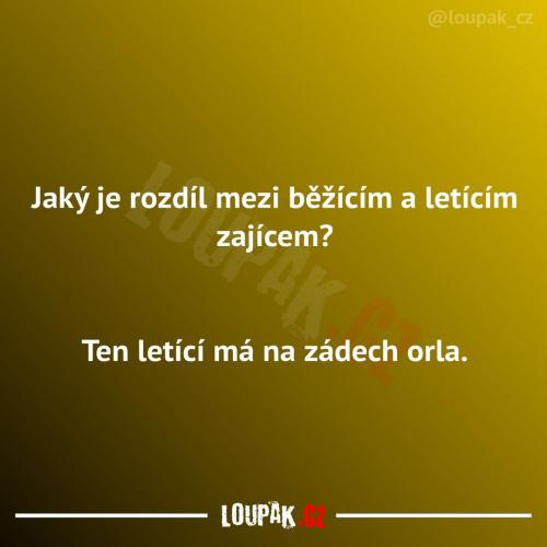  Je tam zajímavý rozdíl 