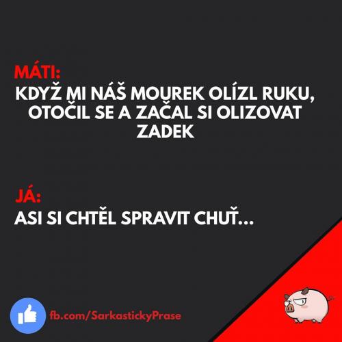 Mourek