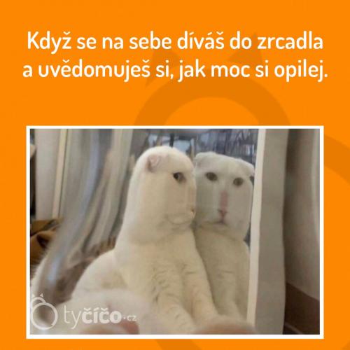 Alespoň to vnímá