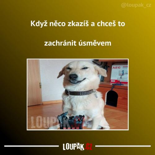 Asi to nepomůže