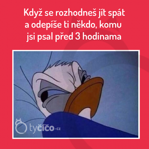  Rozhodnutí 