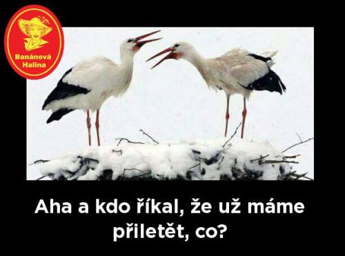 Přiletět