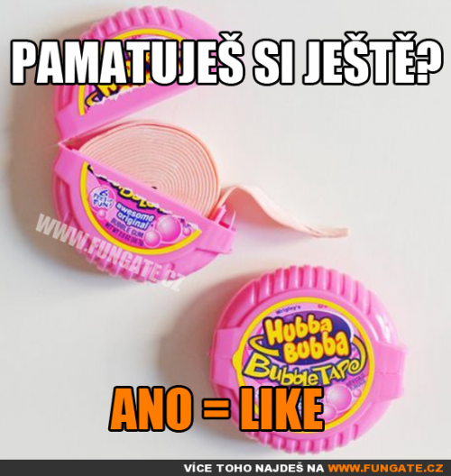 Pamatuješ