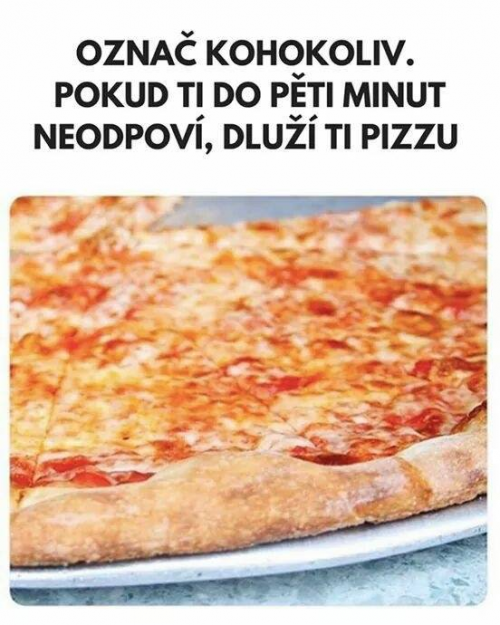  Pizza 