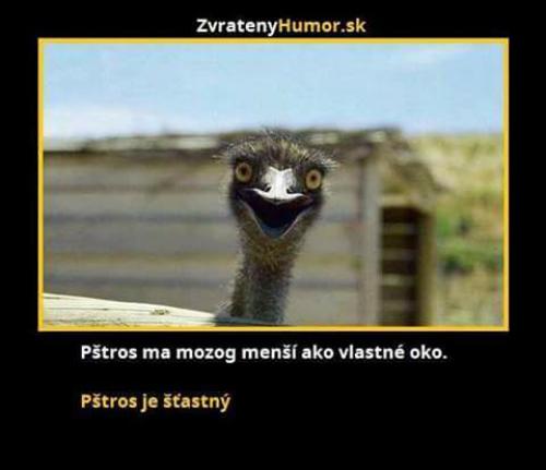 Pšstros