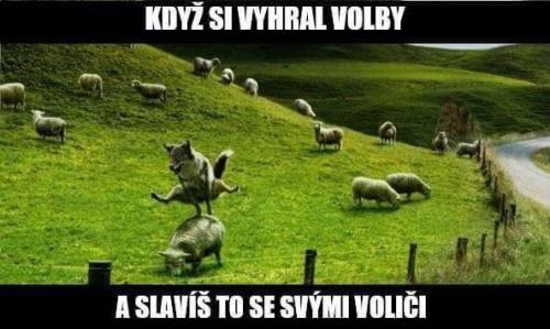  Volby 