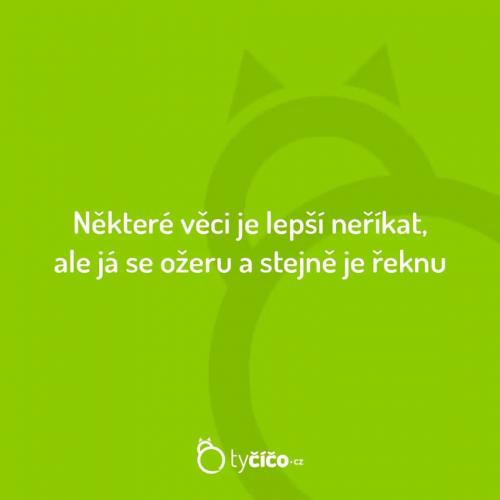 Některé věic