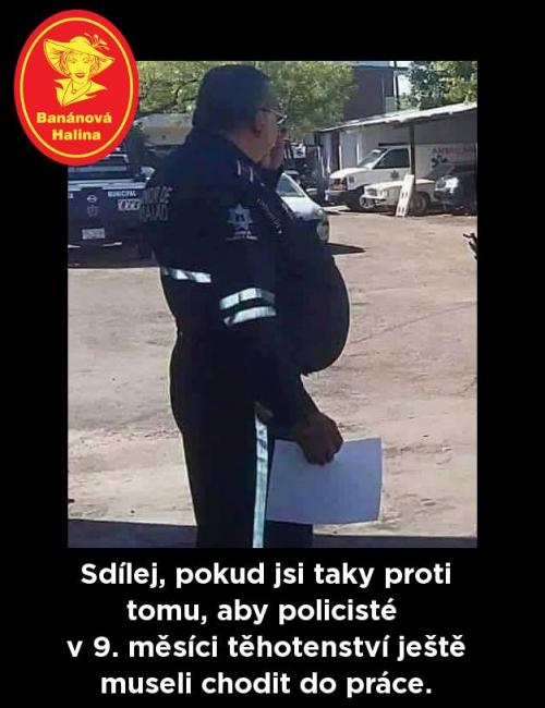  Policisté 