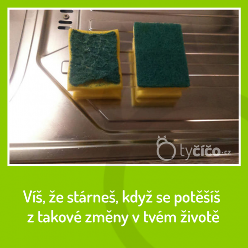 Stárneš