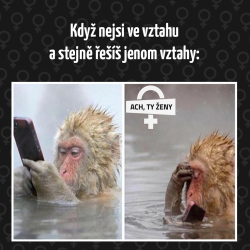  Vztahy 