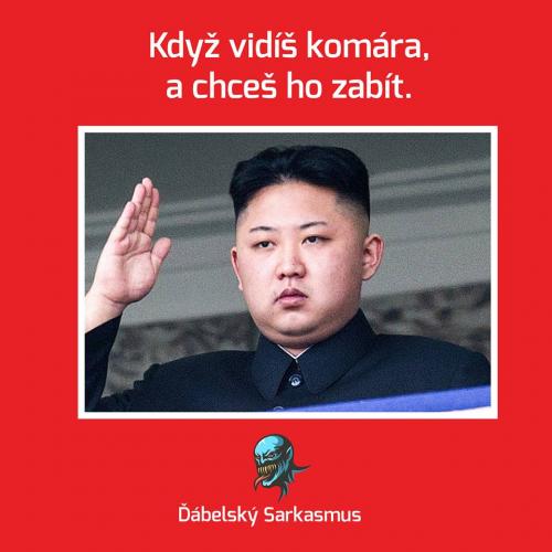  Komár 