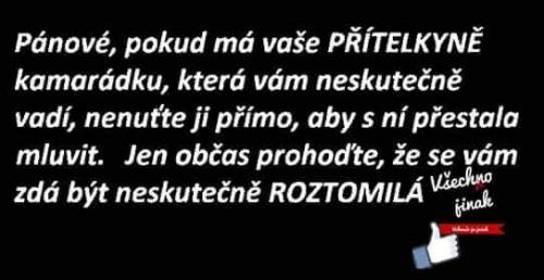 Přítelkybě