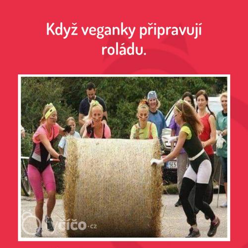 Roláda