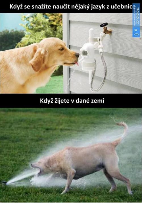 JHazyk
