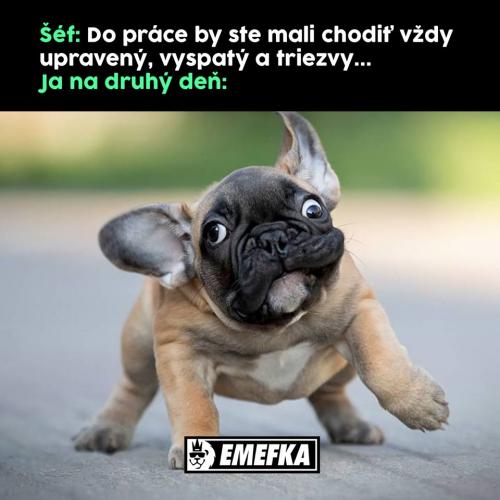  Práce 