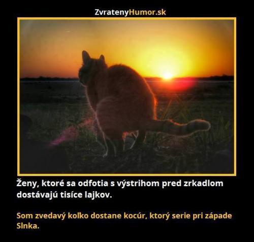  Ženy 