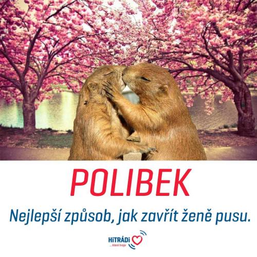  Polibek 