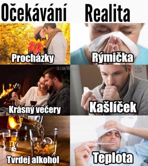  Očekávání 