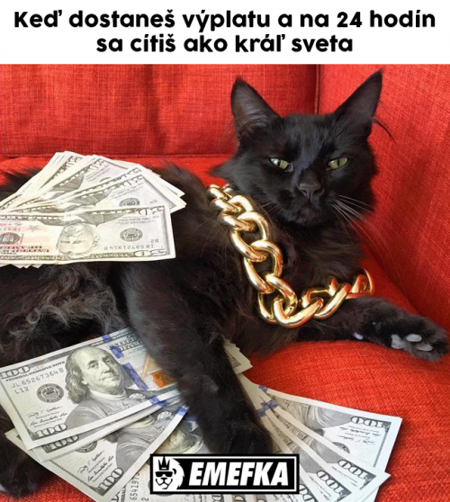  Výplata 