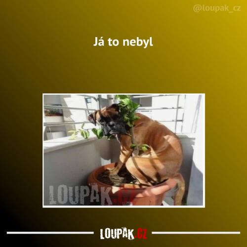 Neudělal to