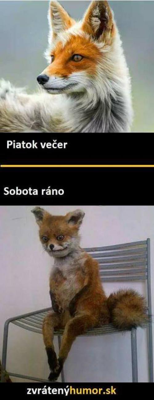  Pátek 