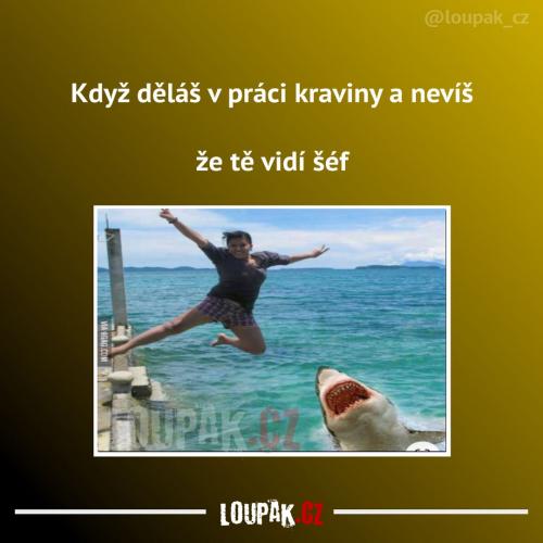  Práce 