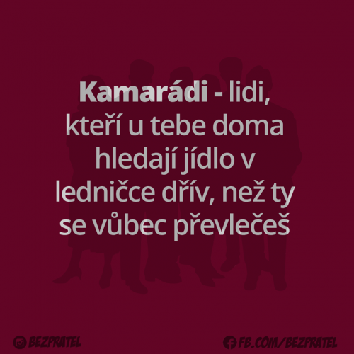  Kamarádi 