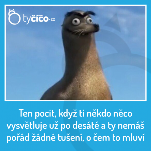 Nechápeš