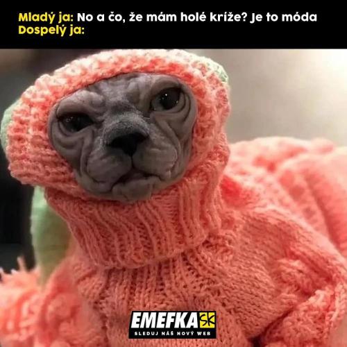  Prostě je to asi v módě 