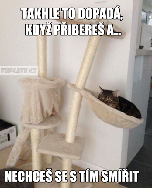 Přibeřeš