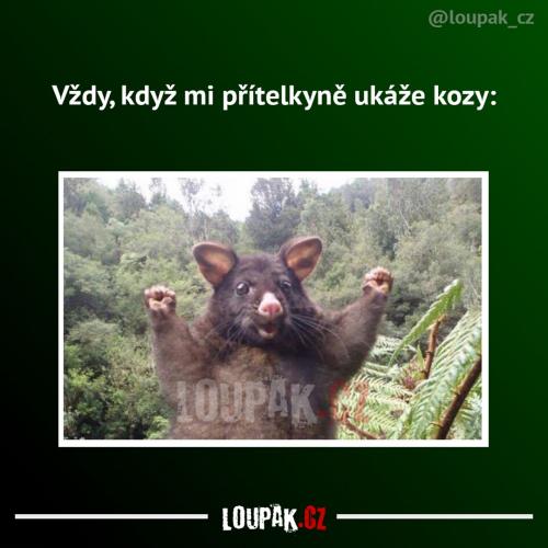  Přítelkyně 