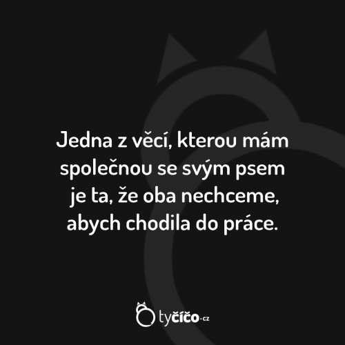  Společná věc 