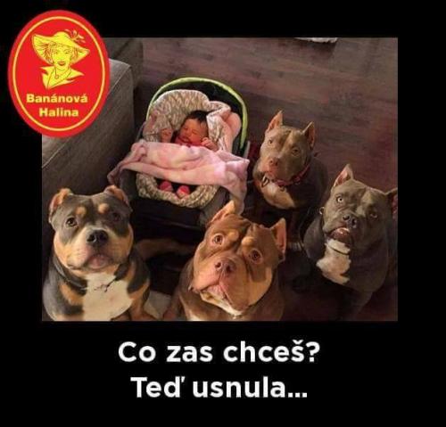  Co zas chceš 